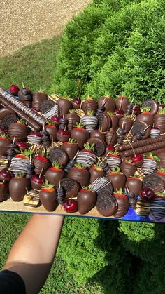 chocolate covered strawberries and cherries are arranged on a platter in the grass