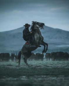 a man riding on the back of a horse