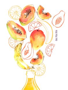 a watercolor drawing of fruit in a vase