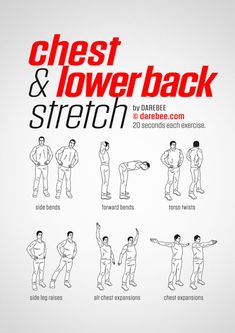 the chest and lower back stretch chart shows how to do exercises for each body type