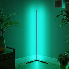 a room with green walls and plants on the floor in front of a tall black pole