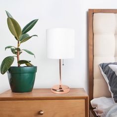 a green potted plant sitting on top of a wooden dresser next to a lamp