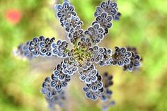 an image of a snowflake that looks like it is in the middle of nowhere