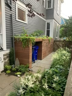 a house with plants growing out of it