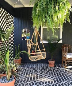 the instagram page shows an image of a patio with plants and chairs on it