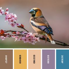 a bird sitting on top of a tree branch with lots of colors in the background