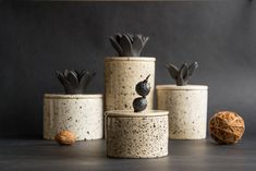 three ceramic pots with plants in them on a table