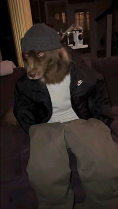 a dog sitting on top of a couch wearing a hat and jacket with his head turned to the side