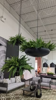 a living room filled with furniture and hanging plants