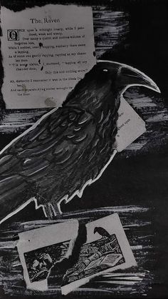 the raven is sitting on top of an old piece of paper