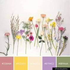 flowers are arranged in different colors on a white background