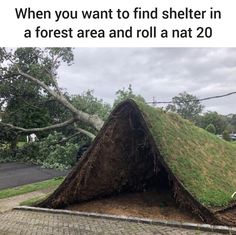 a large tree that has fallen on top of a house and is blocking the road