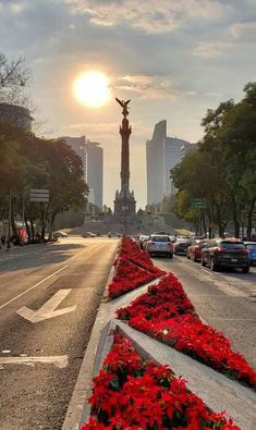 the sun is setting over a city street with red flowers in the foreground and tall buildings on either side