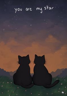 two black cats sitting on top of a grass covered field under a sky filled with stars