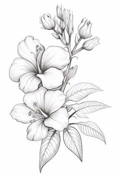 a pencil drawing of flowers on a white background