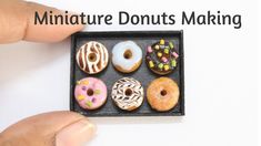 miniature doughnuts in a box with the words miniature donuts making above them