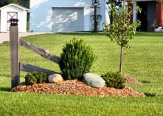 a wooden fence in the middle of a yard with rocks and grass around it, next to a small tree