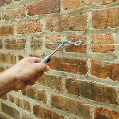 Sustainable Backyard, Espalier Trees, Espalier Fruit Trees, Vertical Vegetable Garden, Brick Garden, Garden Vines, Sloped Garden, Potager Garden, Vertical Gardening