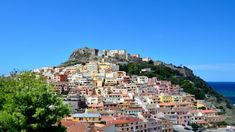 a hill with lots of houses on it next to the ocean and trees in front of it