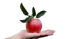 apple png image Apple Png, Graphics Wallpaper, Corel Draw Design, Png Download, Png Images, Template Design, Lab, For Free