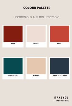 the color palette for harmon autumn ensemble