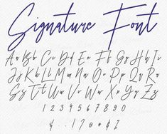 the signature font and numbers are handwritten in blue ink