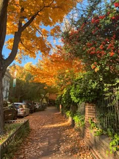 an autumn scene with leaves on the ground and cars parked along the side of the road