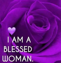 a purple rose with the words i am a blessing woman