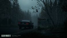 the car is driving down the road in the foggy forest at night with no one around