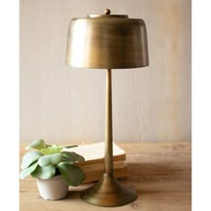 a small potted plant sitting next to a lamp on a wooden table in front of a book