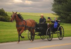 people riding in a horse drawn carriage on the road with grass and trees behind them