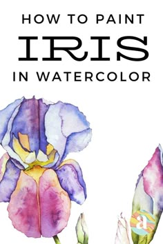 an iris flower with the words how to paint iris in watercolor