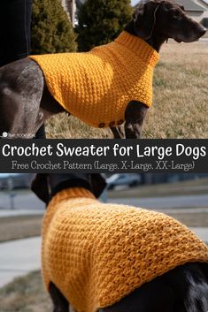 a dog wearing a yellow sweater on top of it's head and the words crochet sweater for large dogs written below