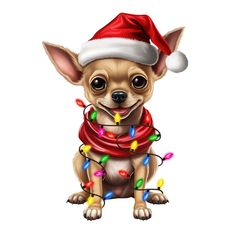 a small chihuahua dog wearing a santa hat and scarf with christmas lights around its neck