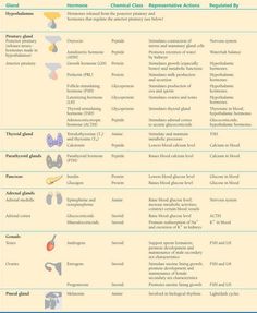 the different types of butterflies and their names