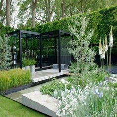 a modern garden with lots of plants and flowers