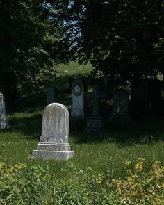 the headstones of two graves are in the grass near trees and yellow wildflowers