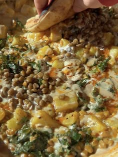 One Pan Creamy Lentils, Japanese Sweet Potatoes, + Kale Sweet Potatoes And Kale, Creamy Lentils, Japanese Sweet Potatoes, Potatoes And Kale, Legumes Recipes, Sweet Potato Kale, Japanese Sweet Potato, Japanese Sweet, Lentil Recipes