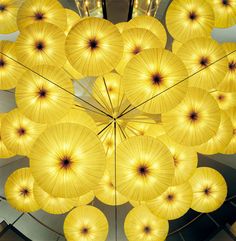 an overhead view of many yellow umbrellas hanging from the ceiling in front of a mirror