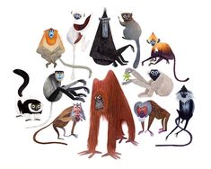 an image of many different animals in the same circle on a white background, including monkeys and other creatures