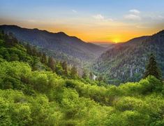 the sun is setting in the mountains with green trees and bushes on either side of it