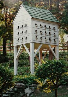 a bird house built into the side of a tree in a yard with rocks and trees around it