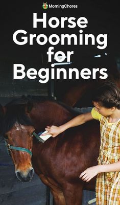 If you ride or work your horse regularly it needs good grooming. Morning Chores explains how to groom your horse the right way. Horse Grooming Videos, Horse Hairstyles, Tiger Tongue, Quick Release Knot, Signs Of Inflammation, Horse Information, Loose Tooth, Stronger Teeth