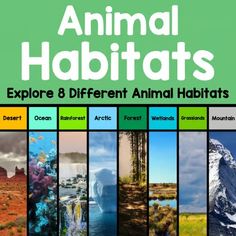 an animal habitat poster with different types of animals and their habitats in each section,