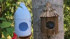 a hand holding a plastic bottle next to a tree with a birdhouse on it