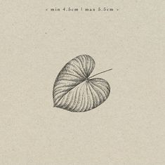 a black and white drawing of a leaf on a piece of paper with the words mini 4cm max 5cm