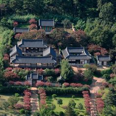 an aerial view of a building surrounded by trees and bushes in the middle of a forest