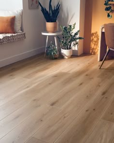 a living room with wooden floors and potted plants