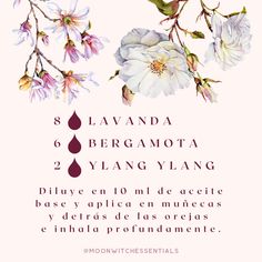 DIY Roll-on aromaterapia para calmar el estrés Body Mist, Reiki, Witch