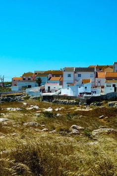 the village is surrounded by tall grass and small white buildings with red roofs are in the distance